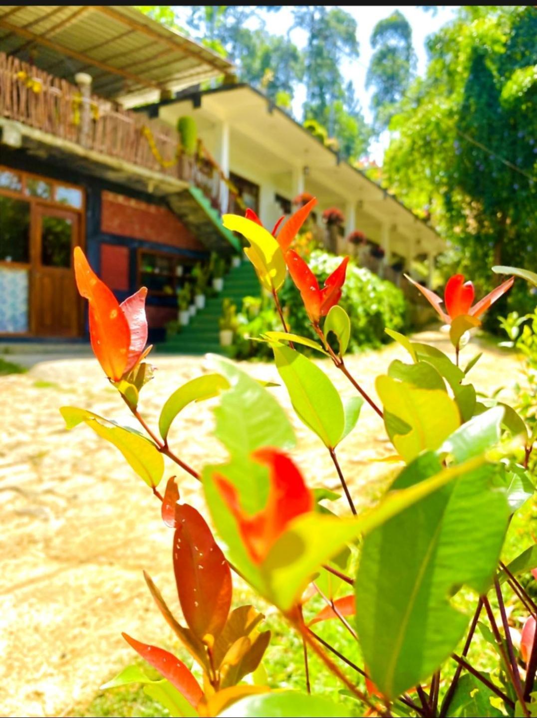 Blissful Haven Hotel Ella Exterior photo